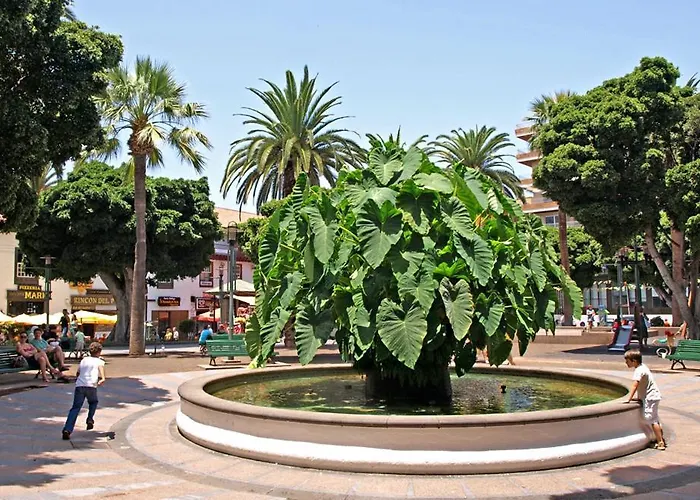 Heaven In Canary Islands 88 Daire *