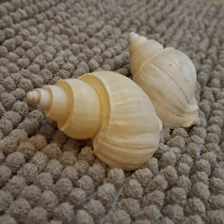 アパート Heaven In Canary Islands 88 *