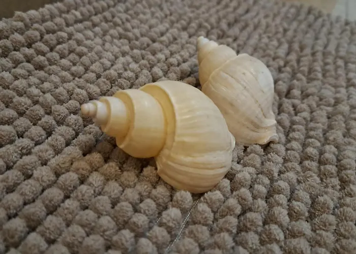 アパート Heaven In Canary Islands 88 *